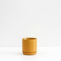 Paulo Tall Indoor Planter Bowl - Medium