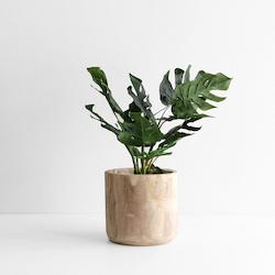 Paulo Tall Indoor Planter - Large