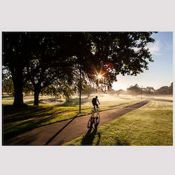 Department store: Boy Cycling_Hagley Park, Christchurch