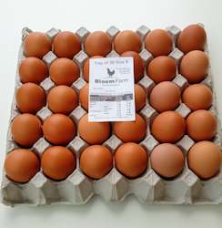 Frontpage: Tray of 30 Size 5 Eggs