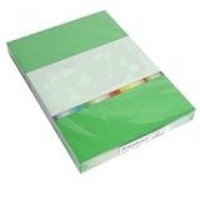 Colour card 160gsm A4 - Green(250)