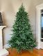 English Spruce Christmas Tree (Instant Shape) - Pre-Order