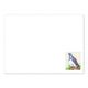 New zealand wood pigeon envelopes (white)