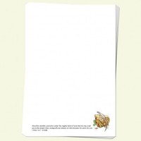 Adult, community, and other education: Skink writing paper (white)