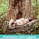 Cloth Nappies - Chameleon