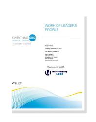 Business consultant service: Everything DiSCÂ® Work of Leaders Profile