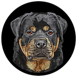 Creative art: Doggieology Art - Rottweiler