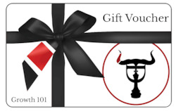 Business consultant service: Growth 101 Gift Voucher