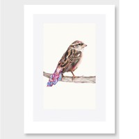 Psychedelic sparrow art print by olivia bezett