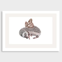 Butterfly hedgehog art print by olivia bezett