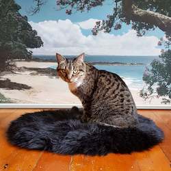 Cat Houses Beds: Cat Bed - NZ Sheepskin - Jet Black