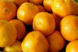 Farm produce or supplies wholesaling: Oranges - Navel