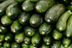 Farm produce or supplies wholesaling: Zucchini/Courgette