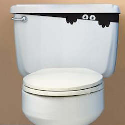 Toy: Toilet spy - decal sticker