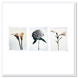 Gift: Triple Flower Polaroid - Greeting Card_[WS]