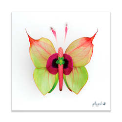 Gift: Fine Art Print_Anthurium Butterfly