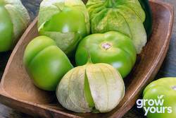 Vegetable Seeds: Tomatillo âGrande Rio Verdeâ