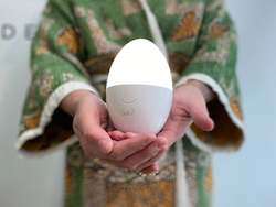 Gift: Rechargeable Portable Egg Nightlight