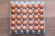 Sunny Side Up - Colony 30 Pack