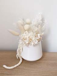 Dried flower: White Mini