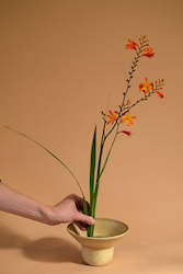 Florist: Humphrey Tait x Isadia Ikebana Kit