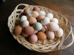 Grocery home delivery: Free range eggs from Agreeable Nature