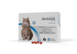 Health supplement: Antinol for Cats - 60 Pack 20% OFF