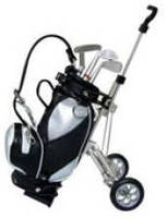 Gift: Golf Clubs/Cart Pen Set