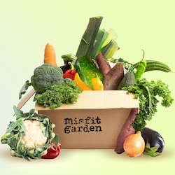 Grocery home delivery: Mini Box | Veg Only