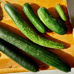 Grocery home delivery: Add x1 Cucumber (smallish size)