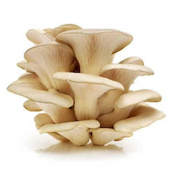 Add 250g Oyster Mushrooms
