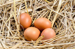 Grocery home delivery: Add x6 Free Range Eggs