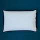 MiteGuard Pillow Cover - Standard Sizes