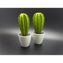 Products: Cactus set h - 2pc