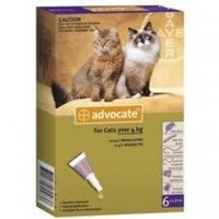 Flea Control - CAT My Vet - New Zealand's Largest Pet Pharmacy: Advocate cat >4kg 6 pack