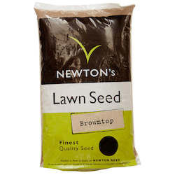 Seed wholesaling: NZ Browntop