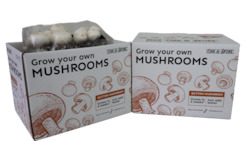 Mushroom growing: Button Mushroom Grow Kit - 2 Pack