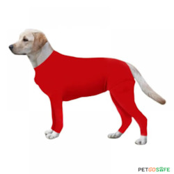 Dog Onesie for After Surgery Pet Surgical Recovery Suit