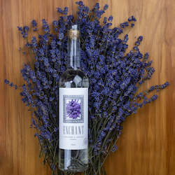 Lavender oil extraction: Lavender and Vanilla Vodka "Enchant"