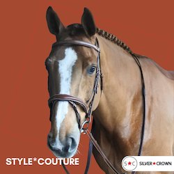 Internet only: Silver Crown Bridle Tetiere Bridle
