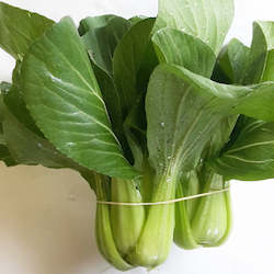 Pak Choi -  2 or 3 to a bunch