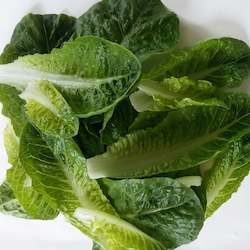 Lettuce, Cos leaves - 200g