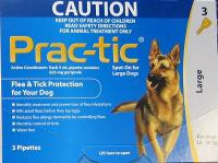 Seed wholesaling: Prac-tic Large Dog - Seed and Feed