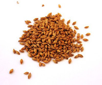 Seed wholesaling: Barley - clean machine dressed - seed and feed