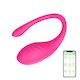Wireless App Remote Control Vibrator Bluetooth Clit Stimulator G-spot Dildo Wear on Vibrating Egg for Women