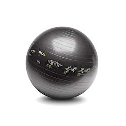 Fitness: SKLZ Fitness Trainer Swiss Ball 65cm (With Exercise Images)
