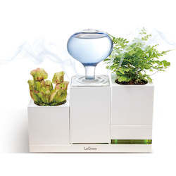 Products: LeGrow Humidifier