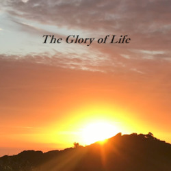 Musician: The Glory Of Life