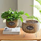 Wicker Basket Planter with metal Stands