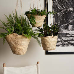 French Market Baskets: Hanging Baskets - Set 3